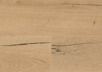 Wineo 1200 Wood XL | Announcing Fritz | Bioboden zum Kleben